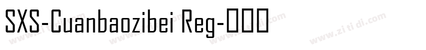 SXS-Cuanbaozibei Reg字体转换